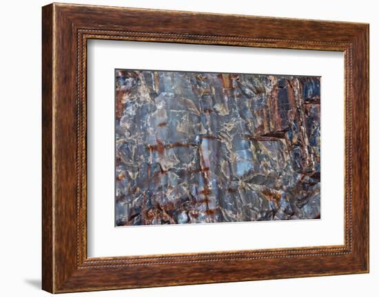 Close-up of petrified wood, Petrified Forest National Park, Holbrook, Arizona, USA.-Michel Hersen-Framed Photographic Print