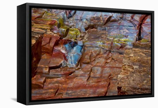 Close-up of petrified wood, Petrified Forest National Park, Holbrook, Arizona, USA.-Michel Hersen-Framed Premier Image Canvas