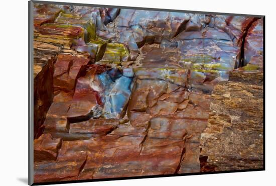 Close-up of petrified wood, Petrified Forest National Park, Holbrook, Arizona, USA.-Michel Hersen-Mounted Photographic Print