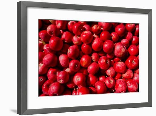 Close-up of picked apples-null-Framed Photographic Print