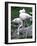 Close-Up of Pink Flamingoes at Tiersgarten, the Zoo, Hietzing, Vienna, Austria-Richard Nebesky-Framed Photographic Print