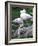 Close-Up of Pink Flamingoes at Tiersgarten, the Zoo, Hietzing, Vienna, Austria-Richard Nebesky-Framed Photographic Print