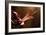 Close Up of Pink Lily. Selective Focus-Daniil Belyay-Framed Photographic Print