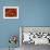 Close-Up of Plumage of Male Pheasant-Niall Benvie-Framed Photographic Print displayed on a wall