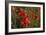 Close Up of Poppies in a Field in Kent, England-Natalie Tepper-Framed Photo