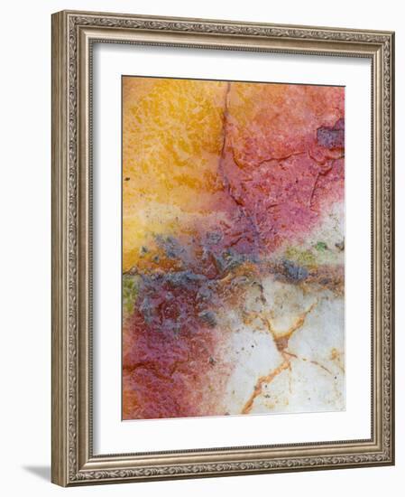 Close Up of Quartz, Scotland, UK-Niall Benvie-Framed Photographic Print