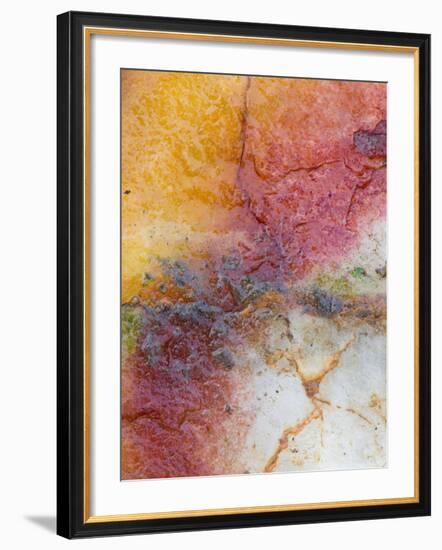 Close Up of Quartz, Scotland, UK-Niall Benvie-Framed Photographic Print