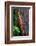 Close-up of Rainbow Eucalyptus (Eucalyptus deglupta) tree, Maui, Hawaii, USA-null-Framed Photographic Print