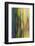 Close-Up of Rainbow Eucalyptus-Terry Eggers-Framed Photographic Print