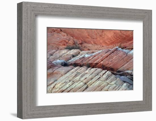 Close-up of Rainbow Vista, Valley of Fire State Park, Nevada, USA.-Michel Hersen-Framed Photographic Print