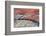 Close-up of Rainbow Vista, Valley of Fire State Park, Nevada, USA.-Michel Hersen-Framed Photographic Print