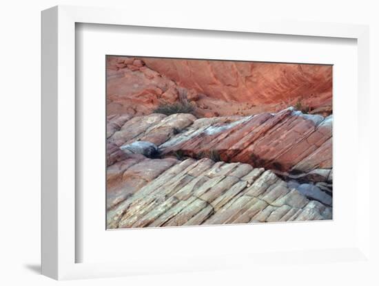 Close-up of Rainbow Vista, Valley of Fire State Park, Nevada, USA.-Michel Hersen-Framed Photographic Print