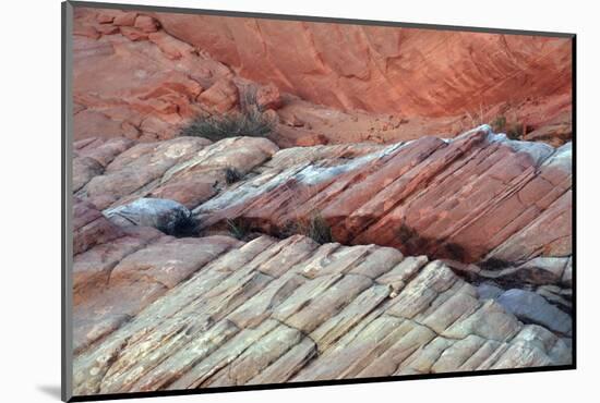 Close-up of Rainbow Vista, Valley of Fire State Park, Nevada, USA.-Michel Hersen-Mounted Photographic Print