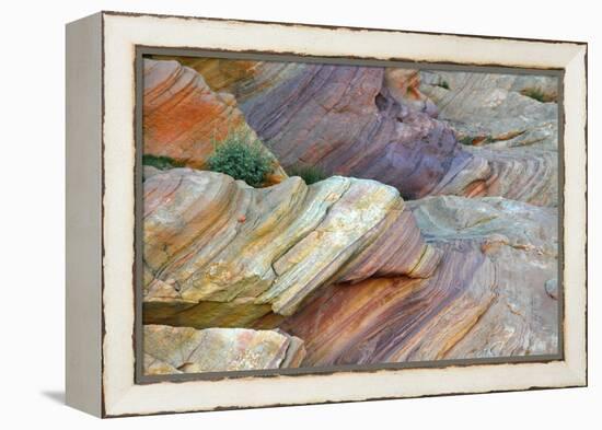 Close-up of Rainbow Vista, Valley of Fire State Park, Nevada, USA.-Michel Hersen-Framed Premier Image Canvas