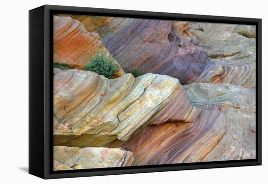 Close-up of Rainbow Vista, Valley of Fire State Park, Nevada, USA.-Michel Hersen-Framed Premier Image Canvas