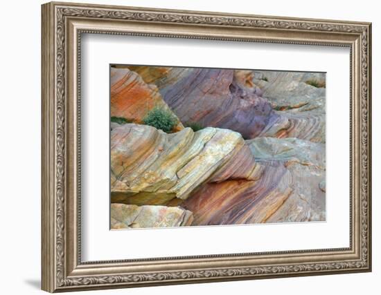 Close-up of Rainbow Vista, Valley of Fire State Park, Nevada, USA.-Michel Hersen-Framed Photographic Print