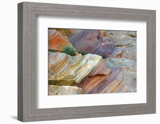 Close-up of Rainbow Vista, Valley of Fire State Park, Nevada, USA.-Michel Hersen-Framed Photographic Print