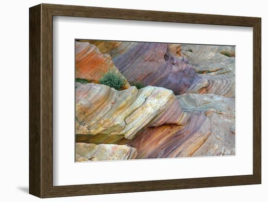 Close-up of Rainbow Vista, Valley of Fire State Park, Nevada, USA.-Michel Hersen-Framed Photographic Print