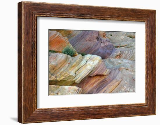 Close-up of Rainbow Vista, Valley of Fire State Park, Nevada, USA.-Michel Hersen-Framed Photographic Print