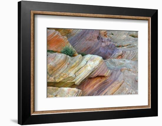 Close-up of Rainbow Vista, Valley of Fire State Park, Nevada, USA.-Michel Hersen-Framed Photographic Print