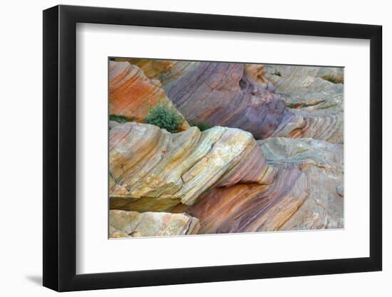 Close-up of Rainbow Vista, Valley of Fire State Park, Nevada, USA.-Michel Hersen-Framed Photographic Print