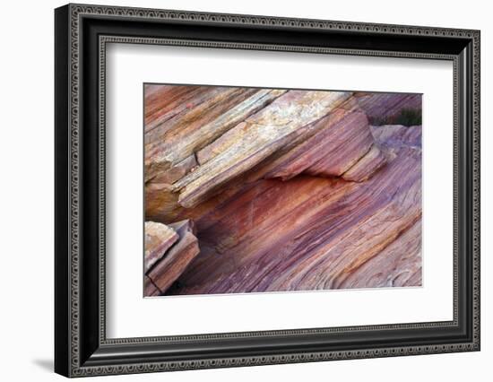 Close-up of Rainbow Vista, Valley of Fire State Park, Nevada, USA.-Michel Hersen-Framed Photographic Print