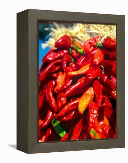 Close-up of red chilies, Taos, New Mexico, USA-null-Framed Premier Image Canvas