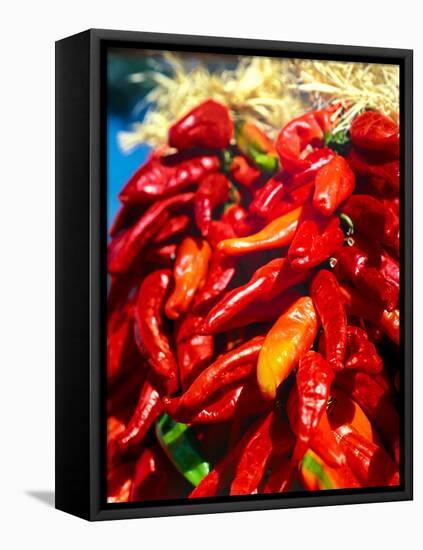 Close-up of red chilies, Taos, New Mexico, USA-null-Framed Premier Image Canvas