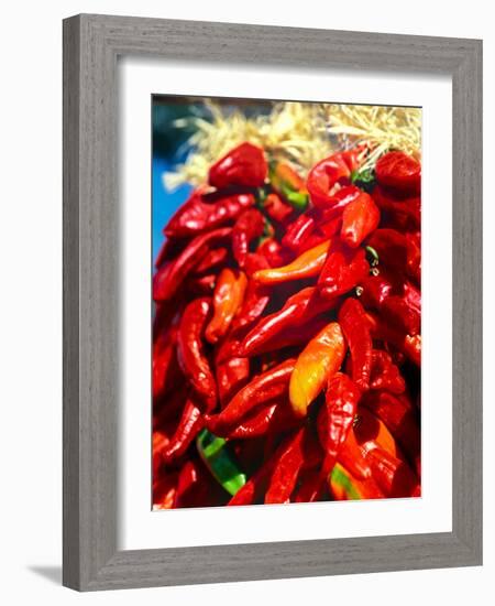 Close-up of red chilies, Taos, New Mexico, USA-null-Framed Photographic Print