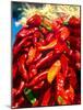 Close-up of red chilies, Taos, New Mexico, USA-null-Mounted Photographic Print
