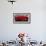 Close-Up of Red Roses in a Bouquet During Sant Jordi Festival, Barcelona, Catalonia, Spain-null-Framed Photographic Print displayed on a wall