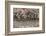 Close-up of relief carving, Puthia Temple Complex, Rajshahi Division, Bangladesh-Keren Su-Framed Photographic Print