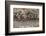 Close-up of relief carving, Puthia Temple Complex, Rajshahi Division, Bangladesh-Keren Su-Framed Photographic Print