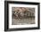 Close-up of relief carving, Puthia Temple Complex, Rajshahi Division, Bangladesh-Keren Su-Framed Photographic Print