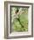 Close-Up of Resplendent Quetzal Perching on a Branch, Savegre, Costa Rica-null-Framed Photographic Print