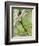 Close-Up of Resplendent Quetzal Perching on a Branch, Savegre, Costa Rica-null-Framed Photographic Print