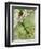 Close-Up of Resplendent Quetzal Perching on a Branch, Savegre, Costa Rica-null-Framed Photographic Print