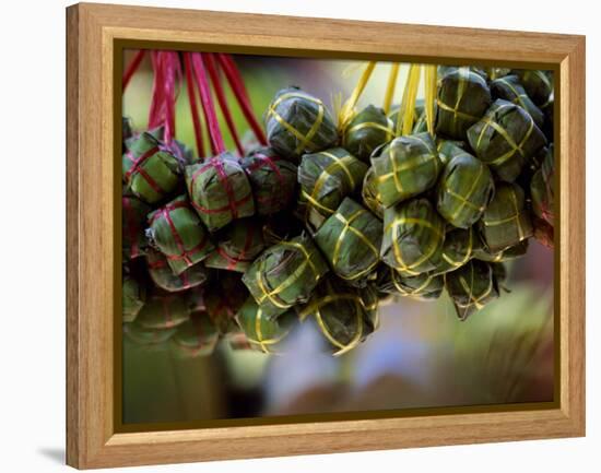 Close Up of Rice Balls Wrapped in Vine Leaves, Vietnam-Paul Harris-Framed Premier Image Canvas