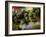 Close Up of Rice Balls Wrapped in Vine Leaves, Vietnam-Paul Harris-Framed Photographic Print