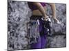 Close Up of Rock Climbing Equipment on a Female Climber, New York, USA-Paul Sutton-Mounted Photographic Print