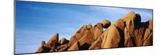 Premium Photographic Print