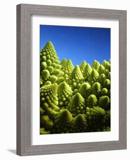 Close up of Romanesco-Peter Sapper-Framed Photographic Print