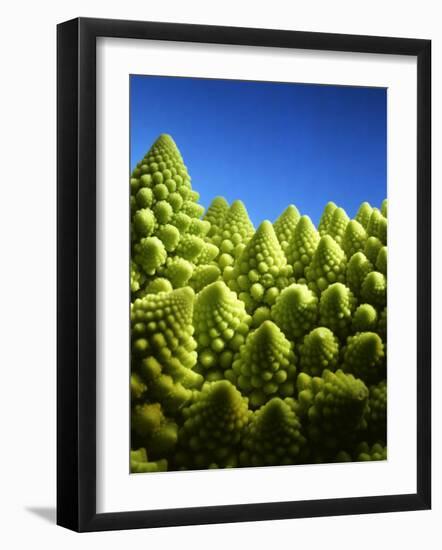 Close up of Romanesco-Peter Sapper-Framed Photographic Print