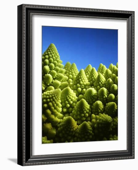 Close up of Romanesco-Peter Sapper-Framed Photographic Print