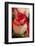 Close-up of rose.-Rick A Brown-Framed Photographic Print