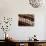 Close-Up of Rows of Chocolates in a French Cafe, France, Europe-Frank Fell-Photographic Print displayed on a wall