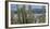 Close-Up of Saguaro Cactus, Catalina State Park, Tucson, Arizona, Usa-null-Framed Photographic Print