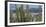 Close-Up of Saguaro Cactus, Catalina State Park, Tucson, Arizona, Usa-null-Framed Photographic Print