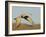 Close-up of Sandhill Crane in Flight Over Mountain, Bosque Del Apache National Wildlife Reserve-Arthur Morris-Framed Photographic Print