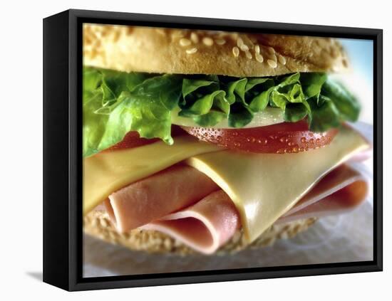 Close-up of Sandwich-ATU Studios-Framed Premier Image Canvas